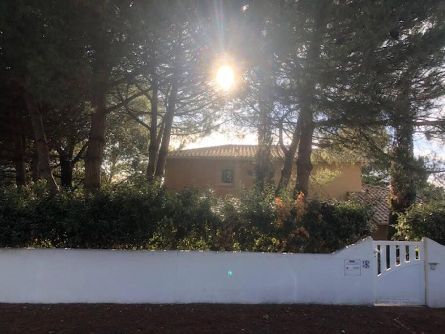 Villa Arethuse - Pyla Sur Mer Kültér fotó