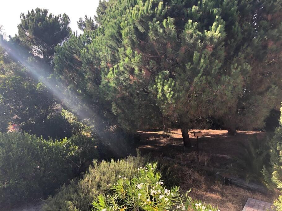 Villa Arethuse - Pyla Sur Mer Kültér fotó